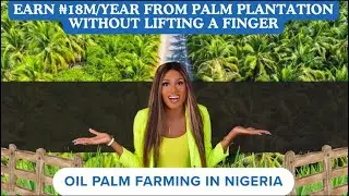 Palm Oil Farming Investment in Nigeria|Palm Crest Ogun State|Farmland With C of O For Sale