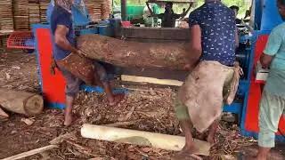 Veneer Peeling Process Explained 🪵| Modern Sawmill Technology 👌🌲|