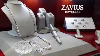 Zavius 2018 Fall Sale A bration Final Revision
