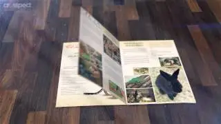 Leopardus poradnik dla przyjaci&oacute;ł zwierząt