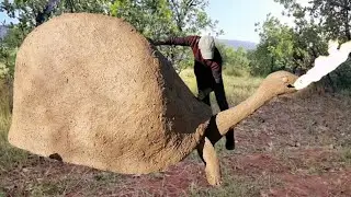 Bushcraft Build Survival shelter The result is amazing.