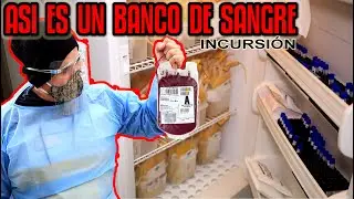 🩸 💉 VISITAMOS UN BANCO DE SANGRE - INCURSIÓN | DILO NOMAS