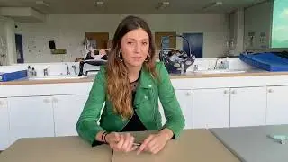 Bac ASSP, interview ancien &eacute;l&egrave;ve