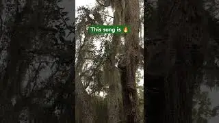 This Song Is FIRE! 🔥 | Walking With Jesus &ndash; TB #ChristianRap #GospelMusic #TB #WalkingWithJesus