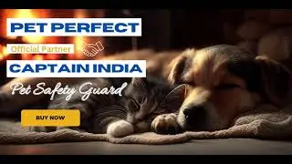 Pet Safety Products | Captain India Pet Safety Guards | Safety tracker | safety Device