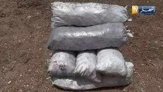 خنشلة: توقيف شخصين متلبسين بحرق الغابات بجبال عين ميمون