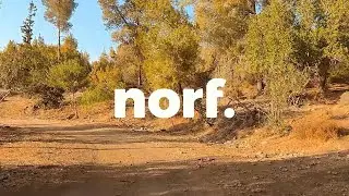 Ben Shemen Forest | Camping & Nature B-Roll