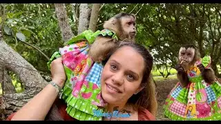 Taking Monkey Angelika to Sissy’s House