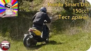 Honda Smart Dio157. Тест драйв!