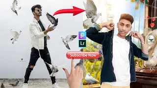 Pigeon photo edit tutorial picsart and lightroom app please subscribe my channel