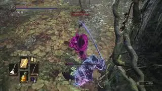 DARK SOULS&trade; III modder? Huge damage absorption.