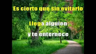 Corazón no te enamores - Galy Galiano KARAOKE