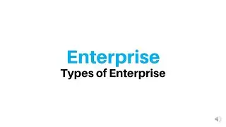 Types of Enterprise