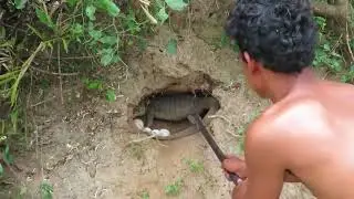 Primitive TechnologyBrave Man Catches komodo By Digging komodo Hole Near Mountain