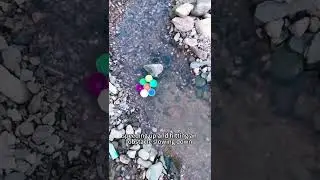 Bottle Cap Drift Racing - Solo Showdown Round 4!！