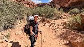 Hike to Havasu Falls in Grand Canyon