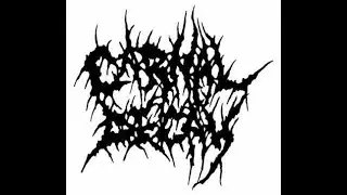 Carnal Decay @ Netherlands Deathfest