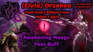 BDO SEA x TH - [Elvia] Orzekea | Trash Only 2 Bil / h Yellow + Agris | Maegu Awakening Post Buff