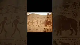 From Fire to Art The First Cave Paintings in History! #earlyhumans #shorts