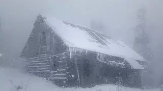 Abandoned Cabin in Winter Blizzard | Extreme Snowstorm Sounds & Howling Wind | Cold Winter Night