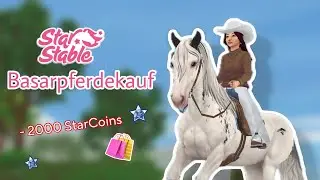Um 2.000 SC &auml;rmer - SSO Basar Shopping Spree 🛍️🫡 || #sso #starstableonline #starstable 