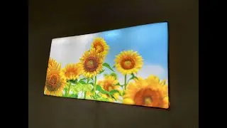 Do You Know Where The Backlit SEG Fabric Lightbox Can Be Used?