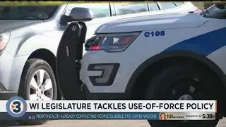 Task Force debates 'use of force' as Wisconsin Legislature eyes police reform