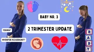 2 Trimester update - Graviditetsopdatering