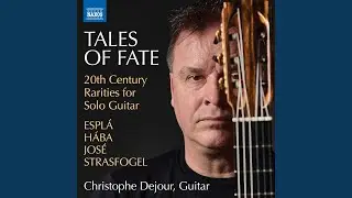 Guitar Sonata (Arr. for Guitar by Christophe Dejour): IV. Finale. Allegro con brio