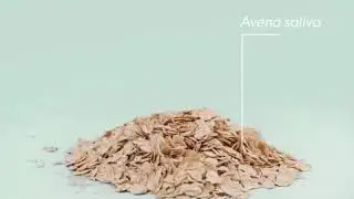 Optimals Age Revive Cleansing Milk l Oriflame l Leena Digital Studio