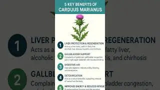 Carduus marianus homeopathy medicine benefits #livertreatment #homoeopathy #bhms #info #viral