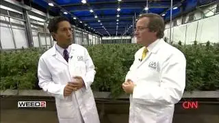 GW pharma intro