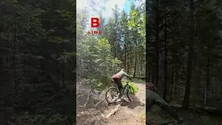 Wich line better? #mtb #enduromtb #linechoice #bikeride #mountainbike