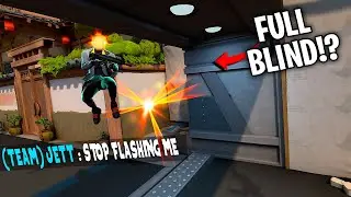 The Phoenix Team flash Meta...