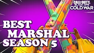 ONE SHOT Marshal Class in Cold War | Akimbo Marshals are Brutal!