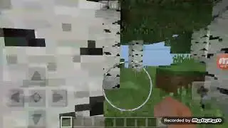I found a Seed in Minecraft 1.2.8 Update