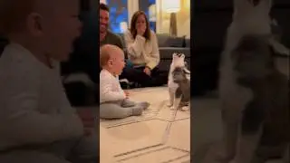 Baby vs Husky Puppy Debate 😂🐶 | Funniest Argument Ever!#BabyVsHusky#HuskyPuppy#FunnyBaby