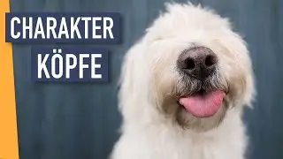 Charakterköpfe fotografieren - Eure Bilder und Fragen #challengewiebke | WIEBKE HAAS