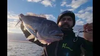 Sortie pêche en Corse du Sud au fireball vif, Dentis et Pagres au rdv! Maxel Zeppelin
