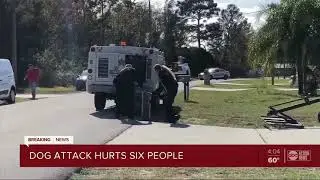 Pack of dogs attack 64-year-old woman, injures several others in Hernando County