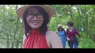  THĂM VƯỜN QUÝT HỒNG NĂM TIỆM SA ĐÉC  