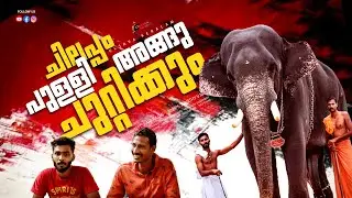 മറ്റൊരാനക്കും ഉണ്ടാവില്ല ഇങ്ങനെ ചില ചിട്ടവട്ടങ്ങൾ അറിയാമതെല്ലാം|Akkikkavu Karthikeyan Mahout|EPI 230