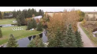Pine and Pond | Edmonton Outdoor Wedding Venue
