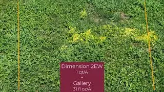 Evaluating Preemergence Crabgrass Control in Tall Fescue using Crew