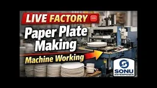 paper plate making live from factory ! Daily Production Process