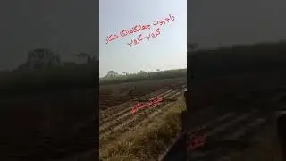 pig hunt 2023
