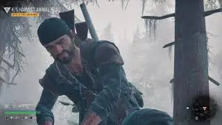 Days Gone  HUNT ANIMAL 🐎🐎🐘