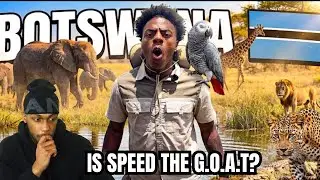 ISHOWSPEED Goes On Safari With Wild Animals.