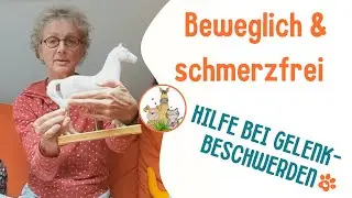 Arthrose beim Tier – Harpagophytum & Strömen zur Unterstützung
