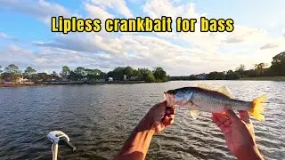 Lipless crankbait fishing